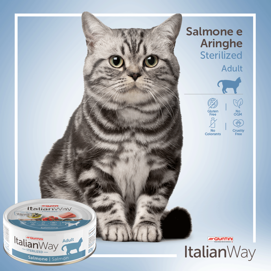 ItalianWay Umido Salmone e Aringhe sterilized (24pzx80g)